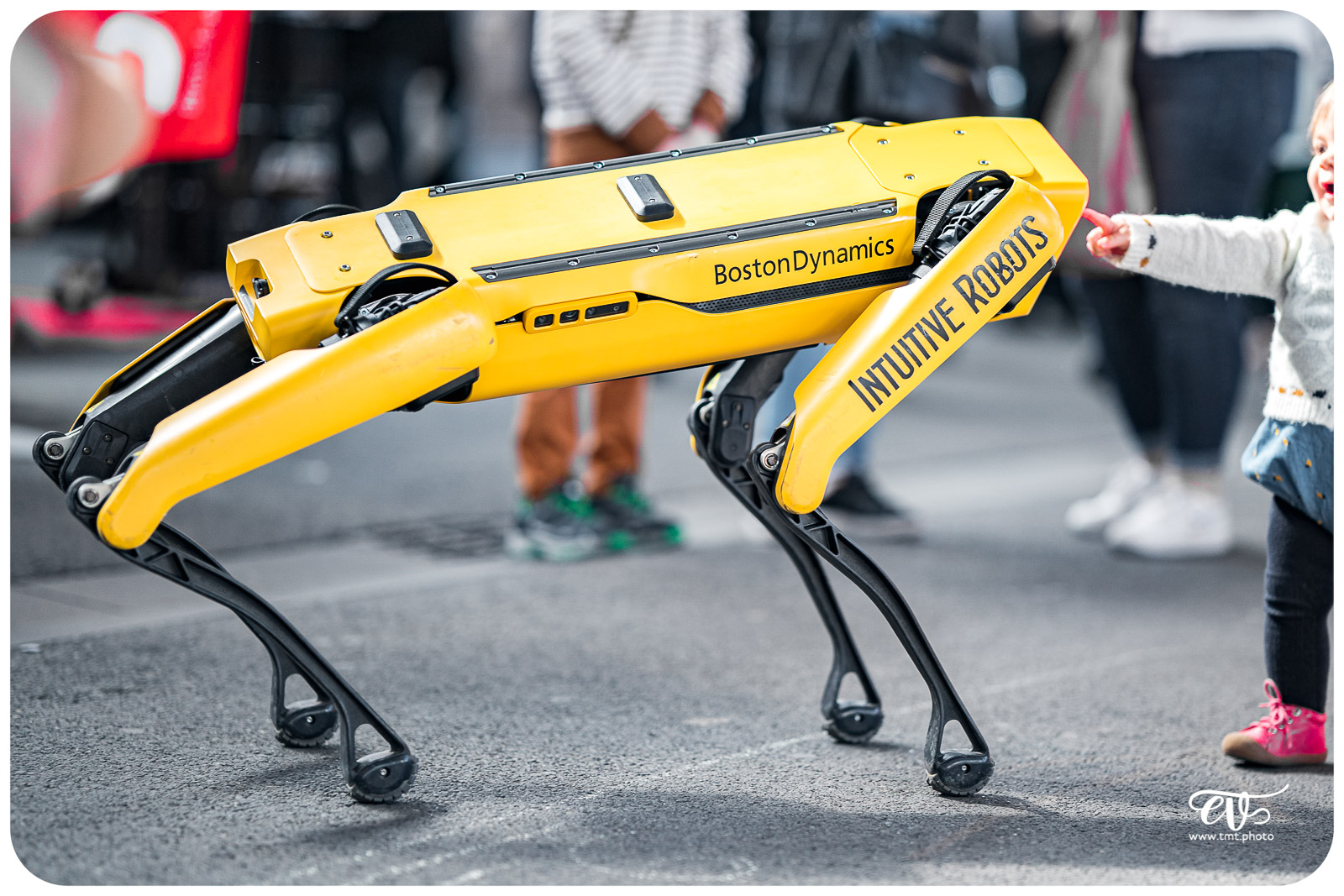 SPOT (BOSTON DYNAMICS)